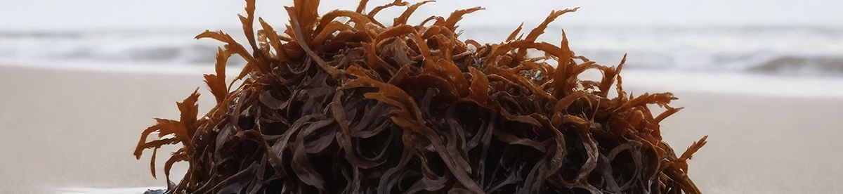 New Blog Post Copy Copy Copy