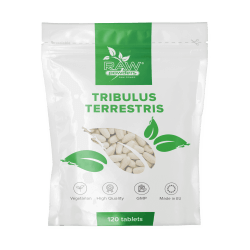 Tribulus Terrestris 500 mg 120 comprimidos