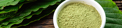 KRATOM: DOSIS Y RECOMENDACIONES DE USO